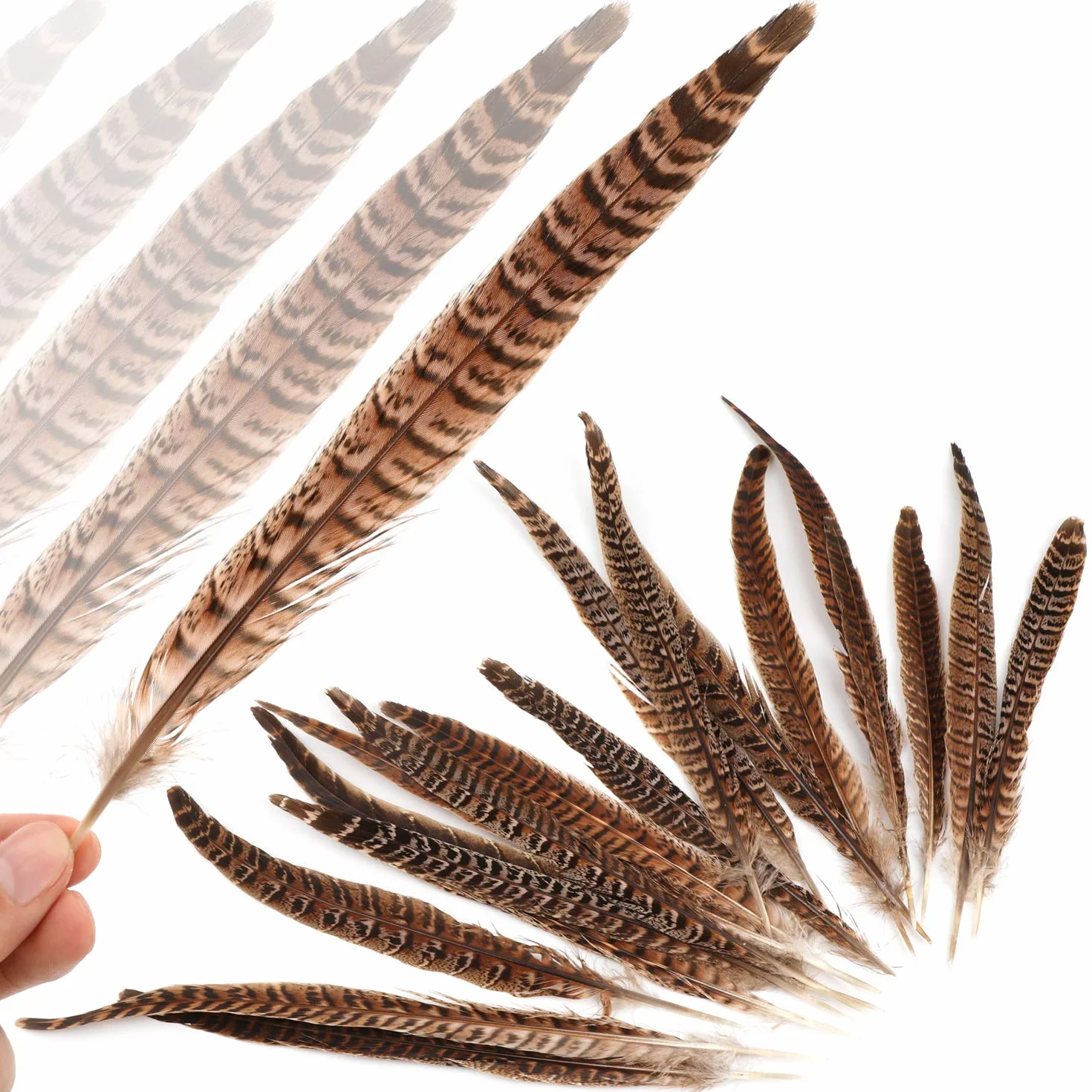 MWOOT 20pcs Piume di Fagiano, Fagiano Piume per Capelli Cappelli Crafts Home Wedding Party 25-30cm Naturale