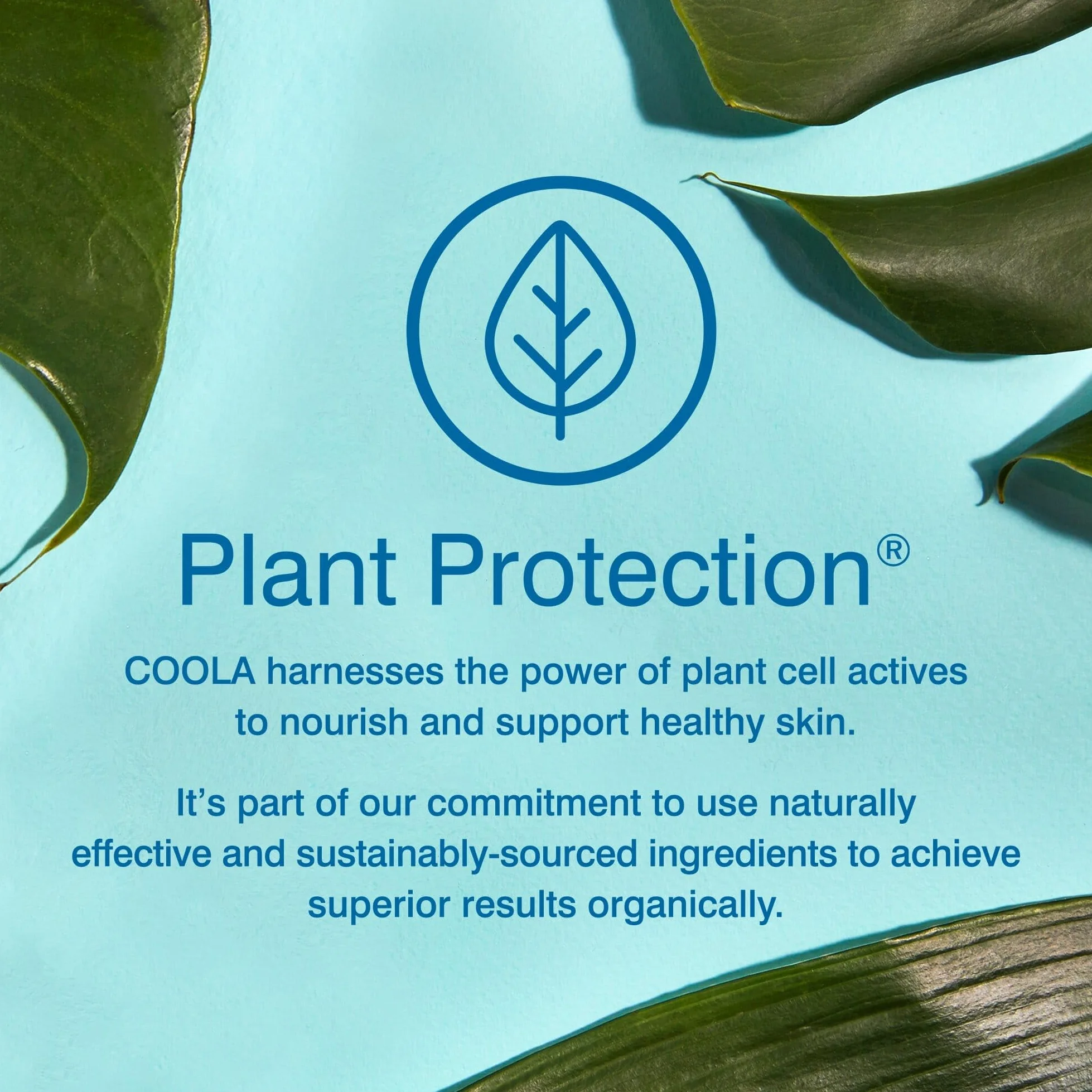 COOLA Classic Body Sunscreen Spray SPF 30, Tropical Coconut, 177ml