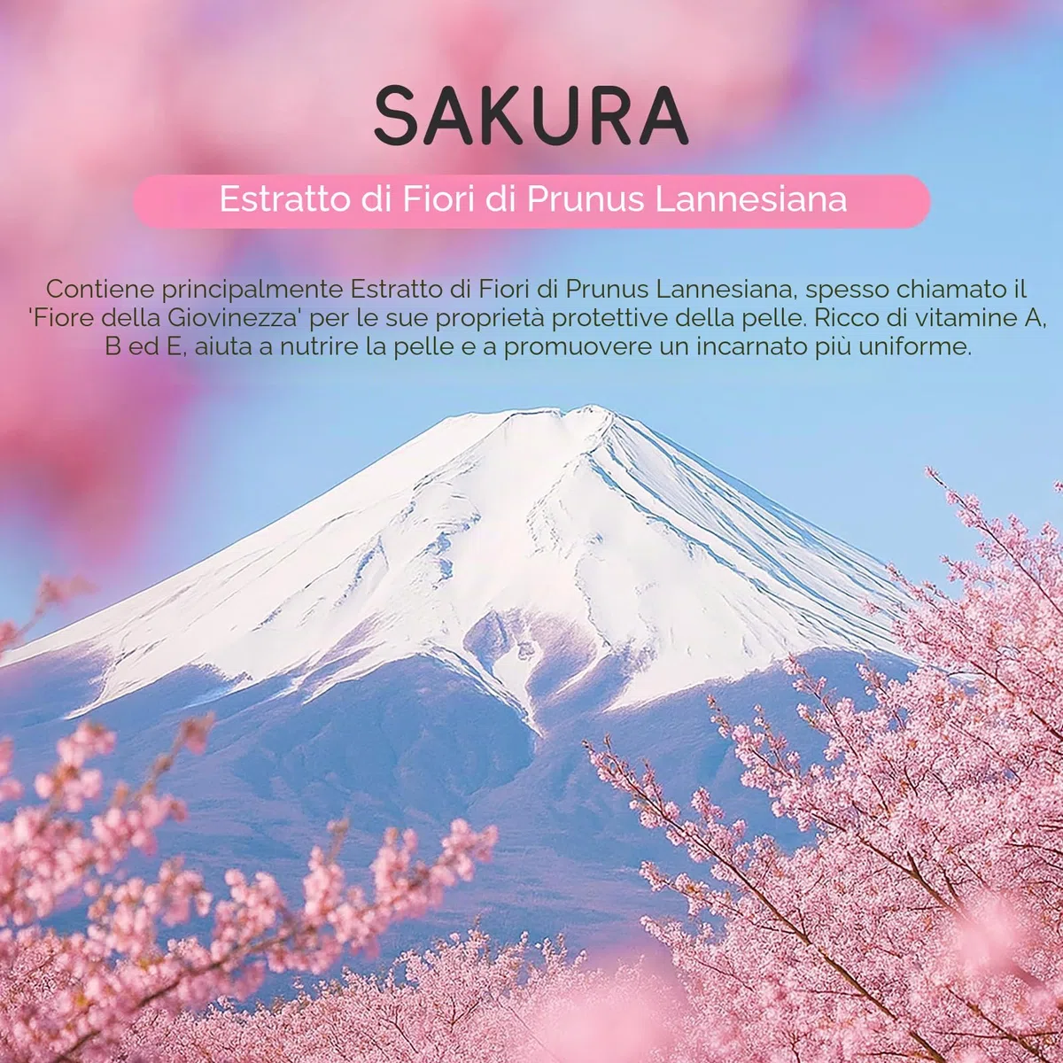 LAIKOU Sakura Skin Care Adolescente da Viaggio, 8 Pezzi Kit Pulizia Viso Ragazza, Kit Crema Viso Giorno e Notte, con Detergente Crema Contorno Occhi Siero Maschera Idratante e Maschera Collo (11pcs)