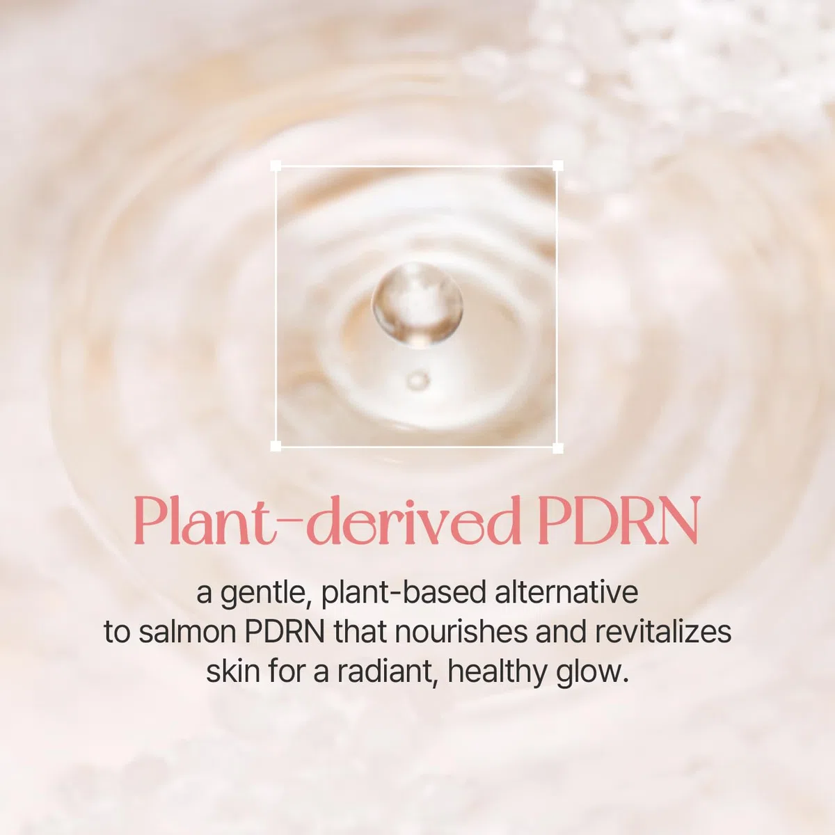 mixsoon PDRN Collagen Tinted Moisturizer No. 23 Aura - Skincare-Infused Base with Rice PDRN & Peptides, 24H Vibrant Glow & Luminous Hydration, 10 Shades, Korean Glass Skin, 50ml