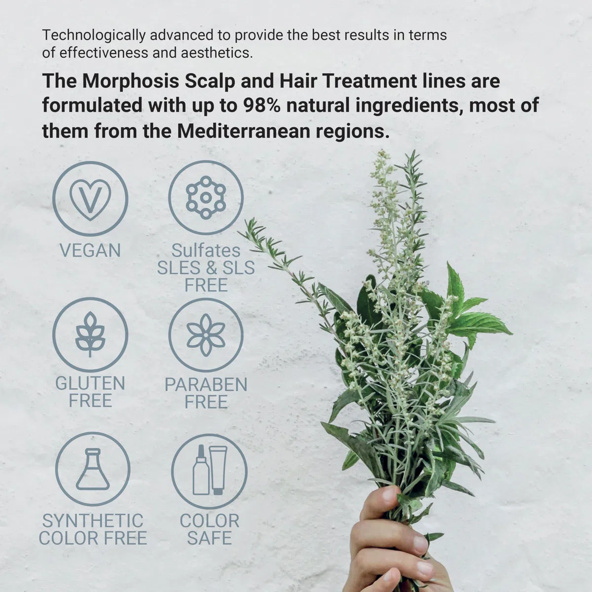 Framesi Morphosis Scalp Detox Essence