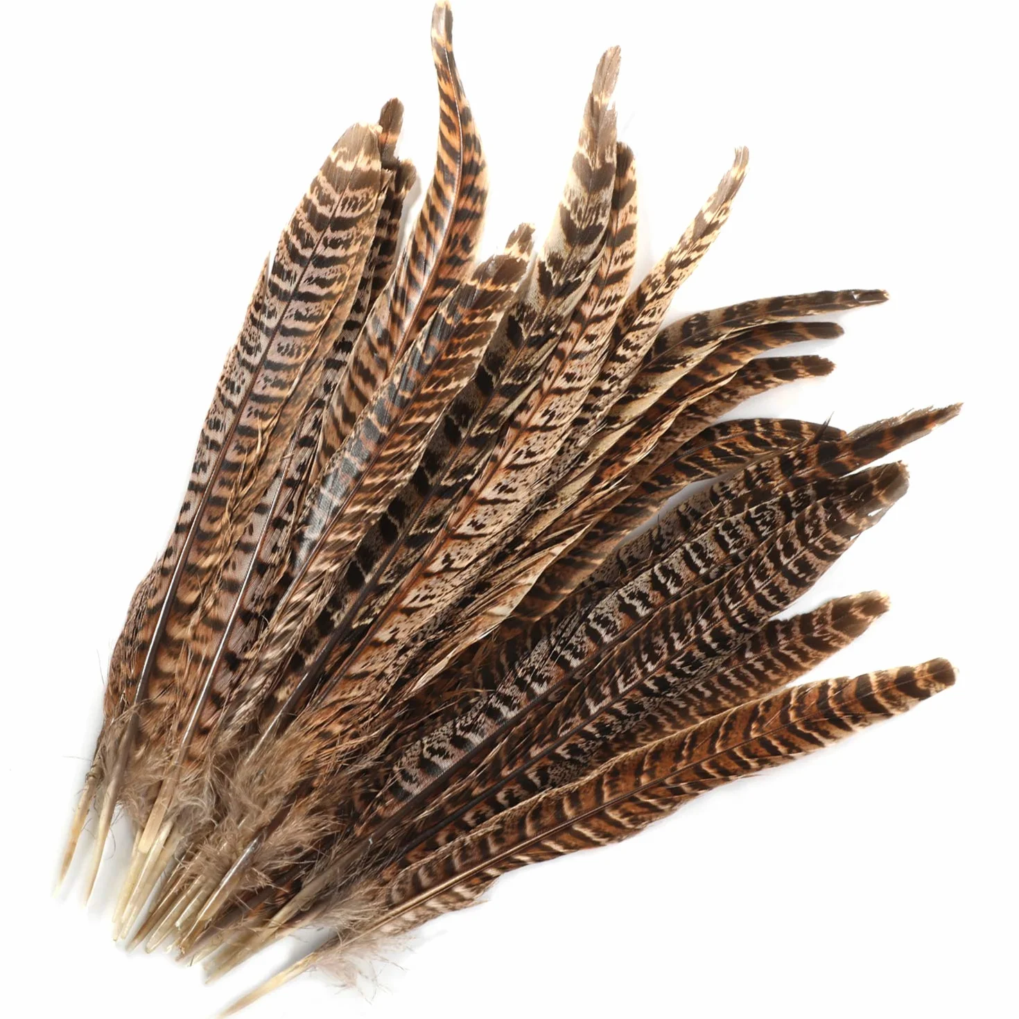 MWOOT 20pcs Piume di Fagiano, Fagiano Piume per Capelli Cappelli Crafts Home Wedding Party 25-30cm Naturale