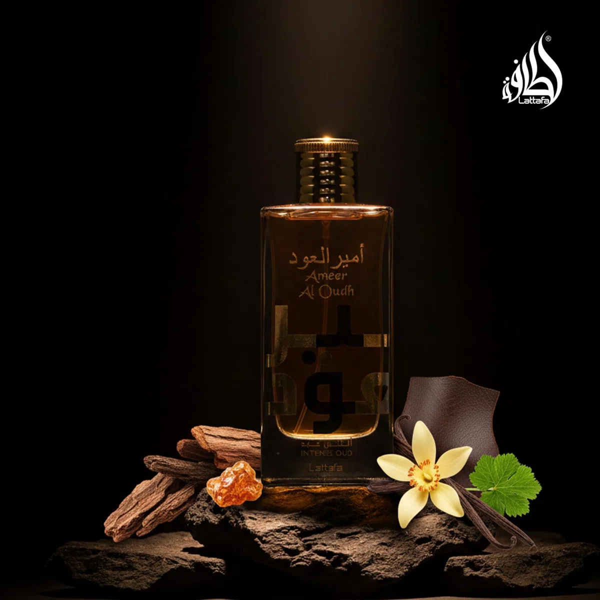 Ameer Al Oudh - Profumo di Oud intenso, 100ml
