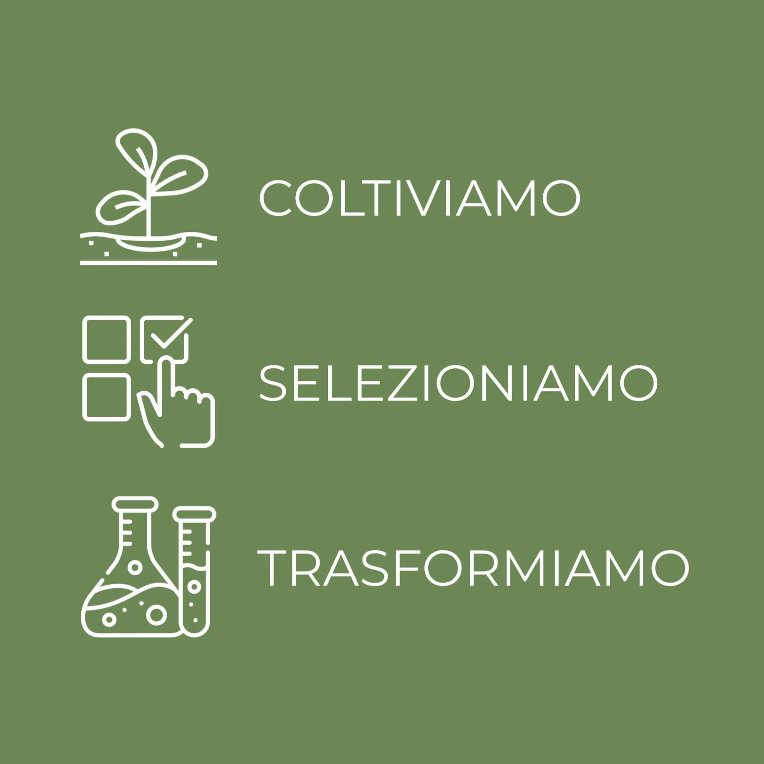 Bottega Verde - Burro Corpo Nutriente Restitutivo, 150 ml, con Olio di Oliva Iperfermentato, Burro di Cacao e di Karitè, Azione Nutriente e Emolliente, per Pelli Normali o Secche
