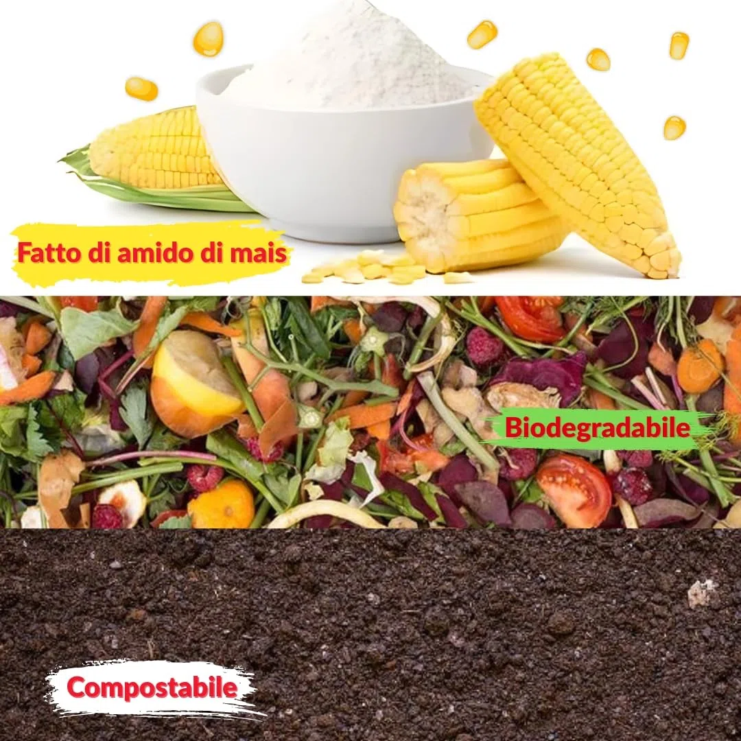 (1 kg verde) Holi-Gulal, polvere solubile in acqua, servizio fotografico naturale, colori rangoli, polvere arcobaleno, set colorato, animali, baby shower, matrimoni, campi estivi
