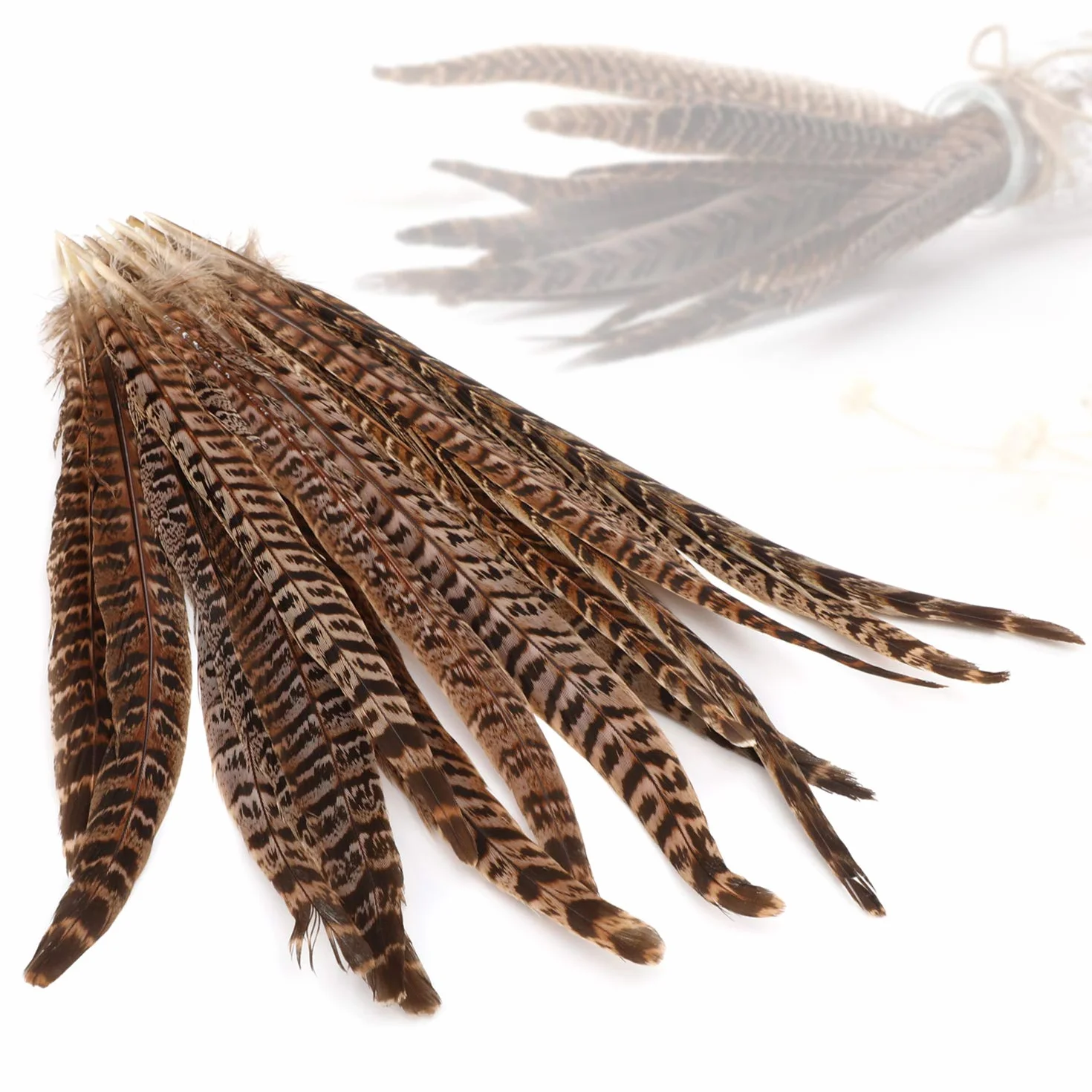 MWOOT 20pcs Piume di Fagiano, Fagiano Piume per Capelli Cappelli Crafts Home Wedding Party 25-30cm Naturale