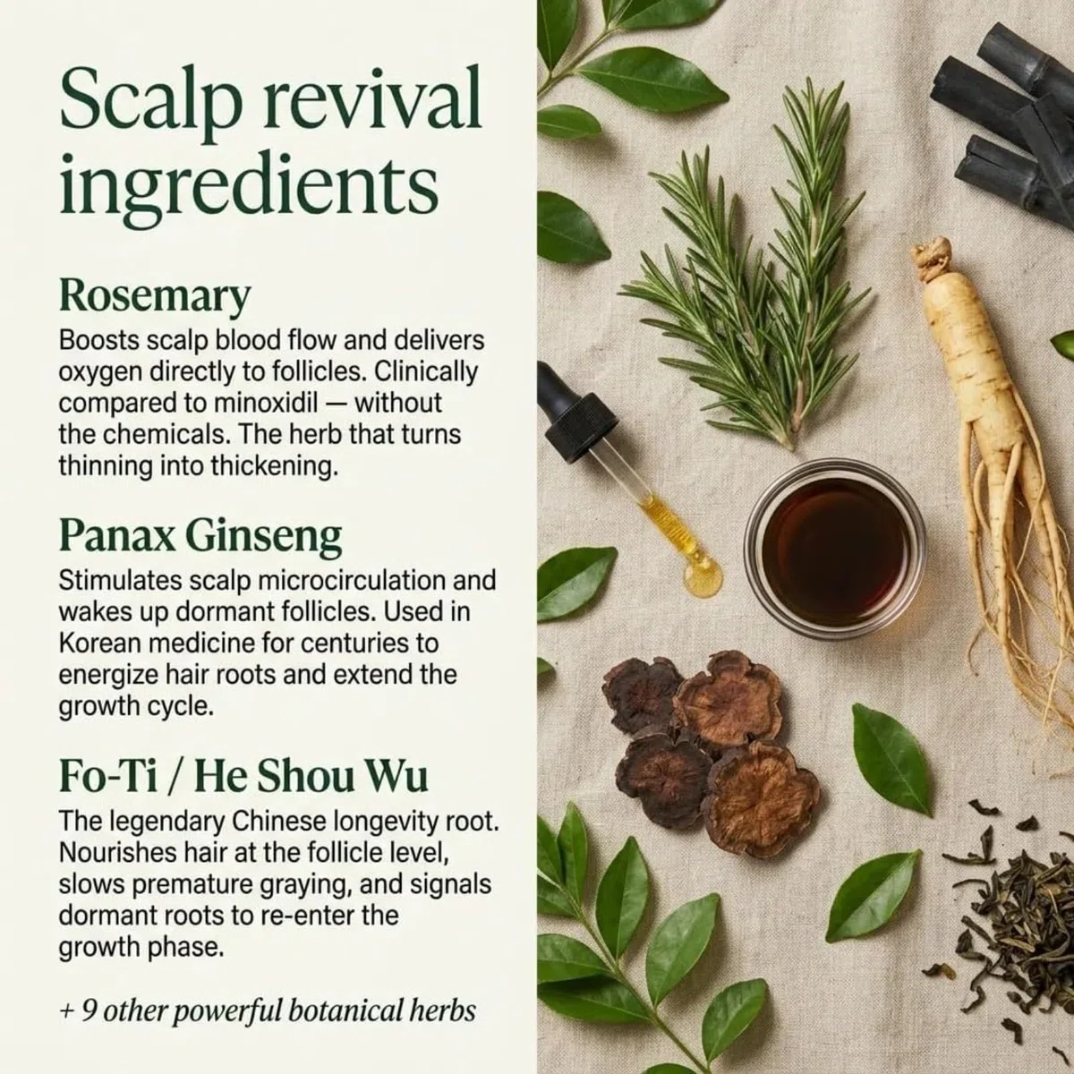 Yoracare Korean Scalp Revival Bar, Lenitivo e Rinforzante per Capelli, per Donne e Uomini (2PCS)