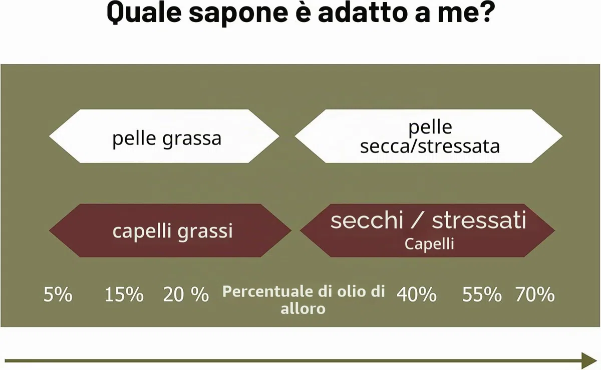 Carenesse Original Sapone di Aleppo 2 X 200 g, 60% di Olio d' oliva e 40% di Alloro, sapone naturale in realizzato a mano secondo tradizione vecchio ricetta e maturazione lungo tempo