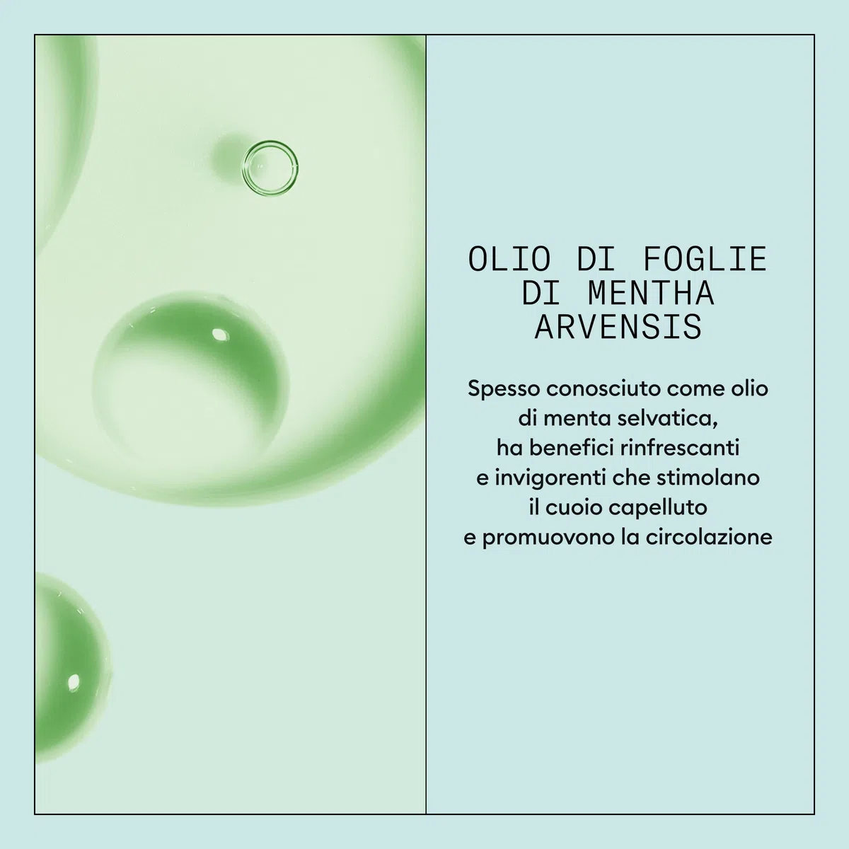Nioxin Scalp Recovery System Siero Lenitivo per Cuoio Capelluto - Trattamento per Cute Irritata, Secca e Squamosa - con Zinco Piritione (100ml)