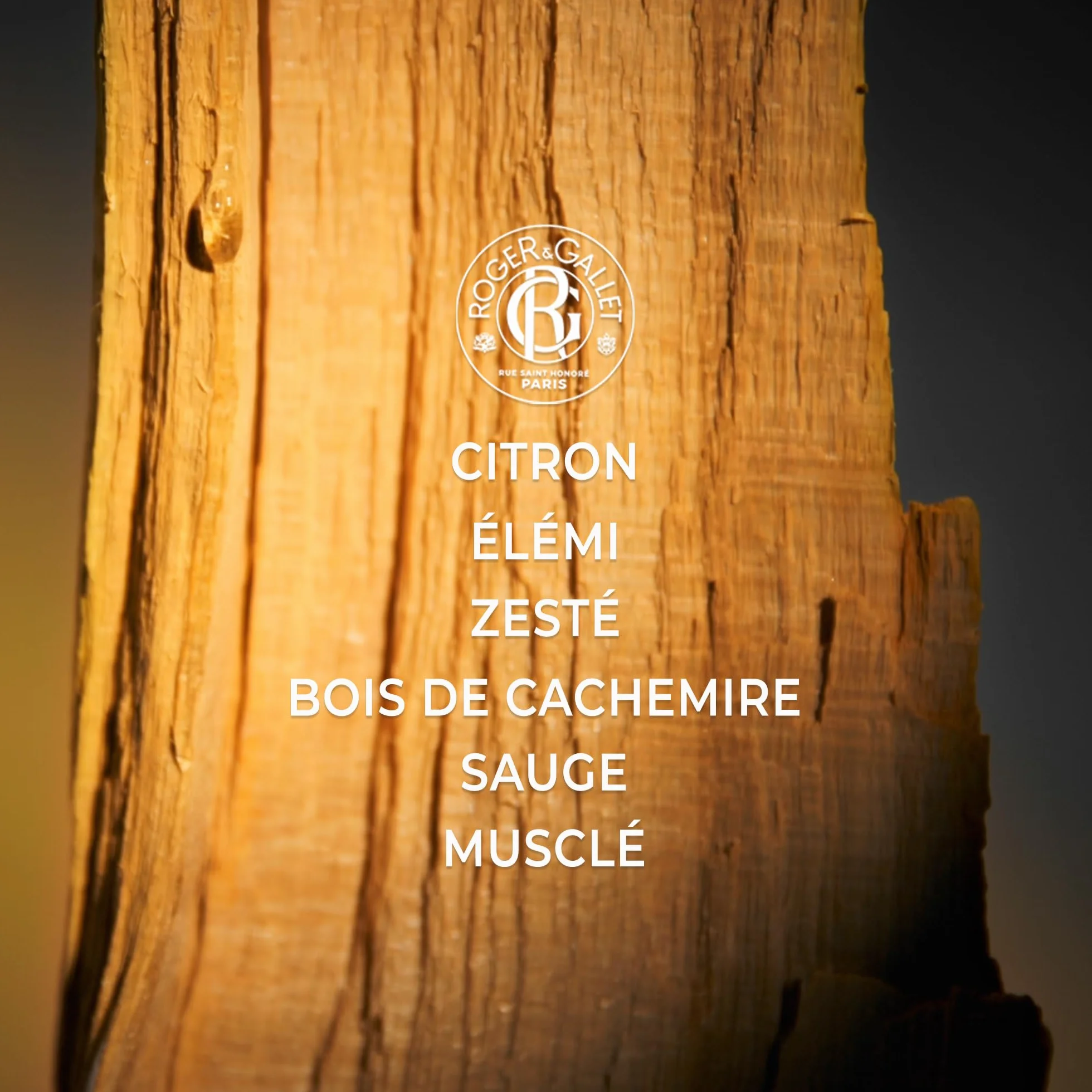 Roger&Gallet - Cologne Twist - Acqua Profumata di Benessere Uomo - Limone, Bergamotto, Salvia, Elemi, Basilico, Legno di Cashmere - 100 ml