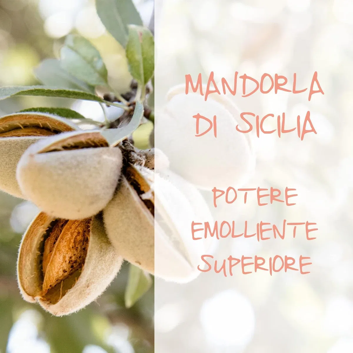Bagno Seta Erboristico Olio di Mandorla di Sicilia, Bagnoschiuma Ottimo per Pelli Delicate, Secche e Stressate, Azione Idratante, Dona Luminosità ed Elasticità, (2 FLACONI DA 400 ml)
