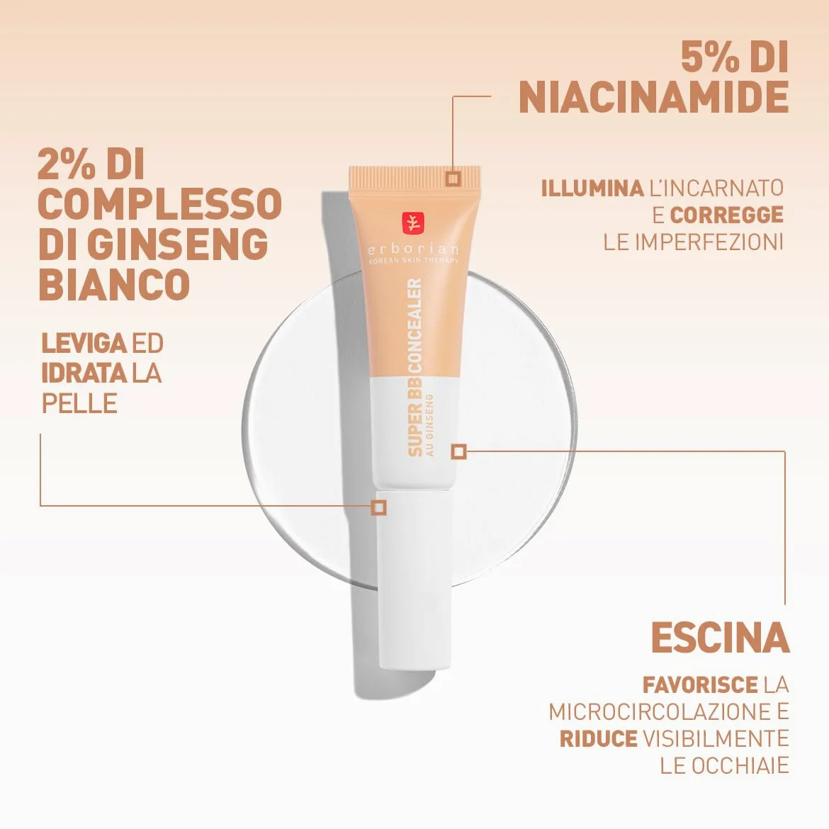 Erborian - Super BB Concealer – Correttore ad alta coprenza arricchito con Niacinamide e SPF 25 - Correttore per gli occhi idratante, finitura naturale – Trattamento Cosmetico Coreano