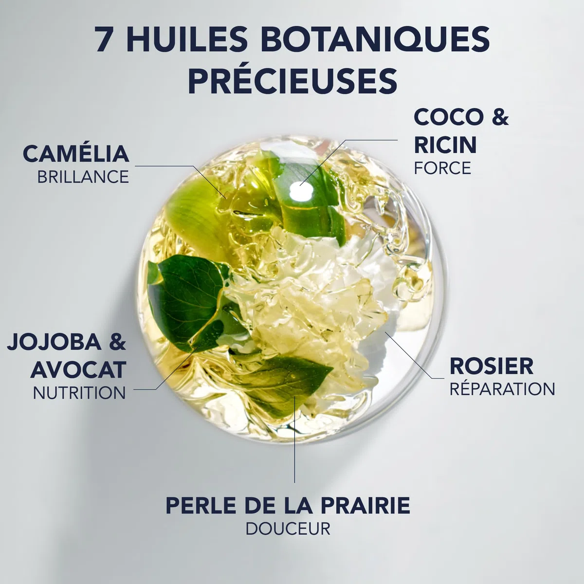 Phyto Paris Phyto 7 Elixir - Olio Sublimante Disciplinante 100 ml - Capelli spessi, secchi e danneggiati - Cura multiuso, nutrizione intensa, disciplina e rifinisce - 99% di oli botanici naturali
