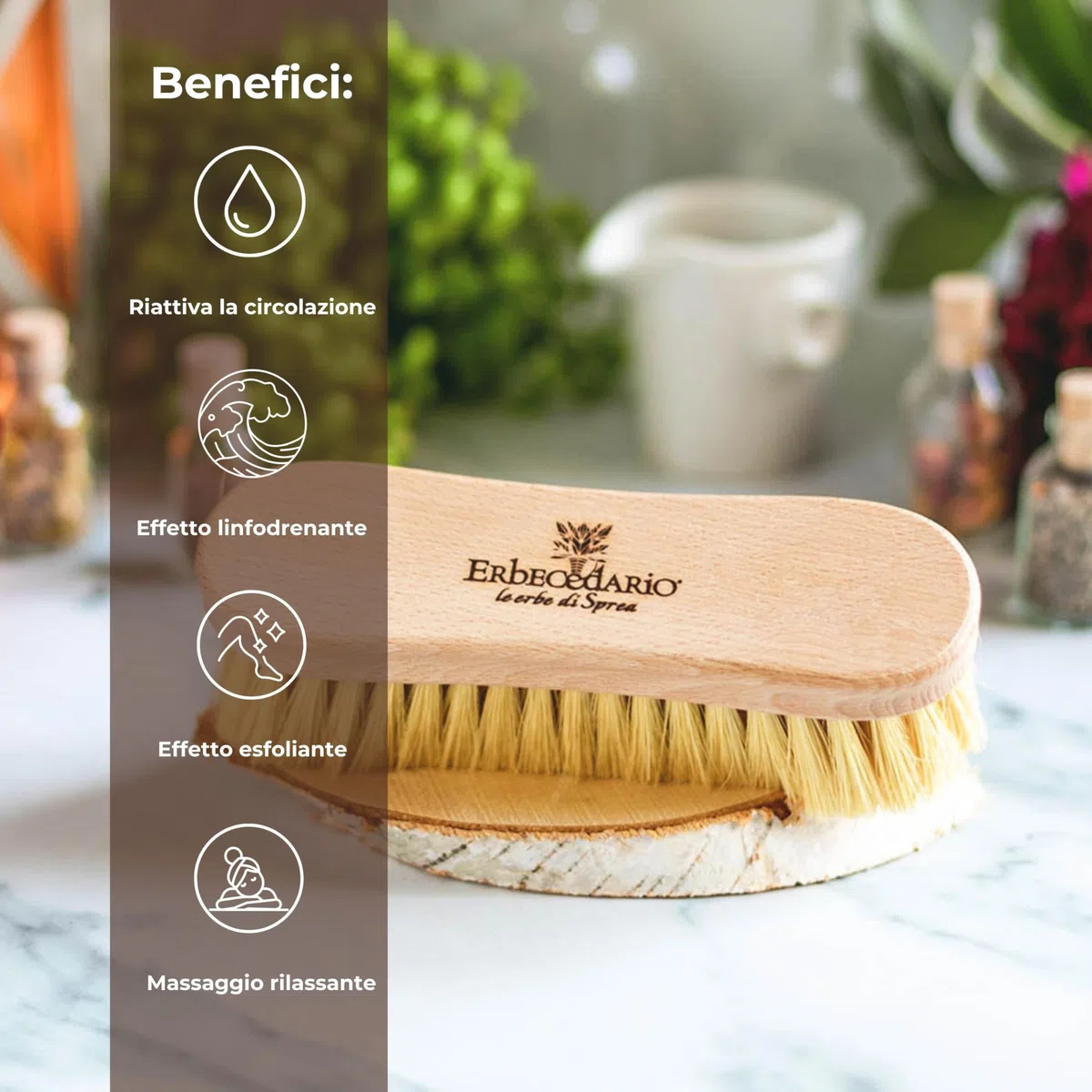 Spazzola Corpo per Spazzolatura a Secco, Setole Naturali Tampico Erbecedario, Legno di Faggio, Per Contrastare Inestetismi Cellulite e Ritenzione Idrica, Migliora la Circolazione, Azione Esfoliante