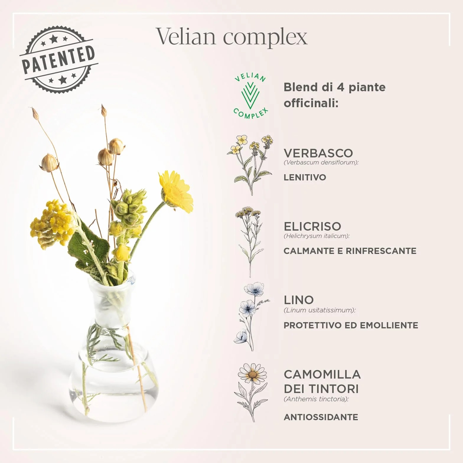 Actyva - Linfa Solare Dry Spray, Setificante Protettivo per Capelli, con Aloe Vera, Filtro UV - 125 ml