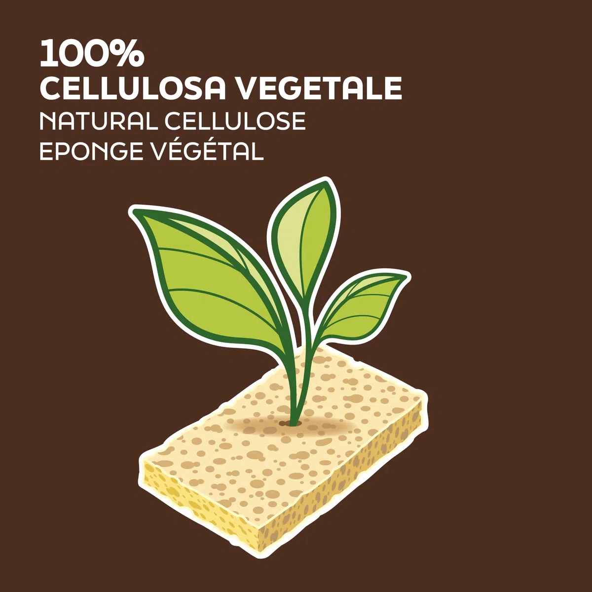 ARIX | 12 Spugne Massaggio Con Cellulosa della Linea Aqua massage Tradition, Spugna Corpo Relax Morbida, Spugna Energizzante e Tonificante in Pura cellulosa Vegetale a Fibra Alveolare - 12 Pezzi