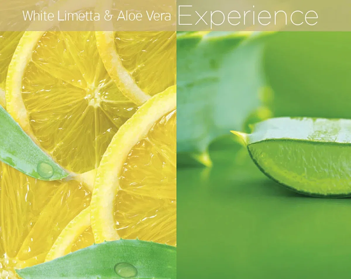 Cuccio White Limetta e Aloe Vera Baby Butter 6 Pezzi Torre Espositore