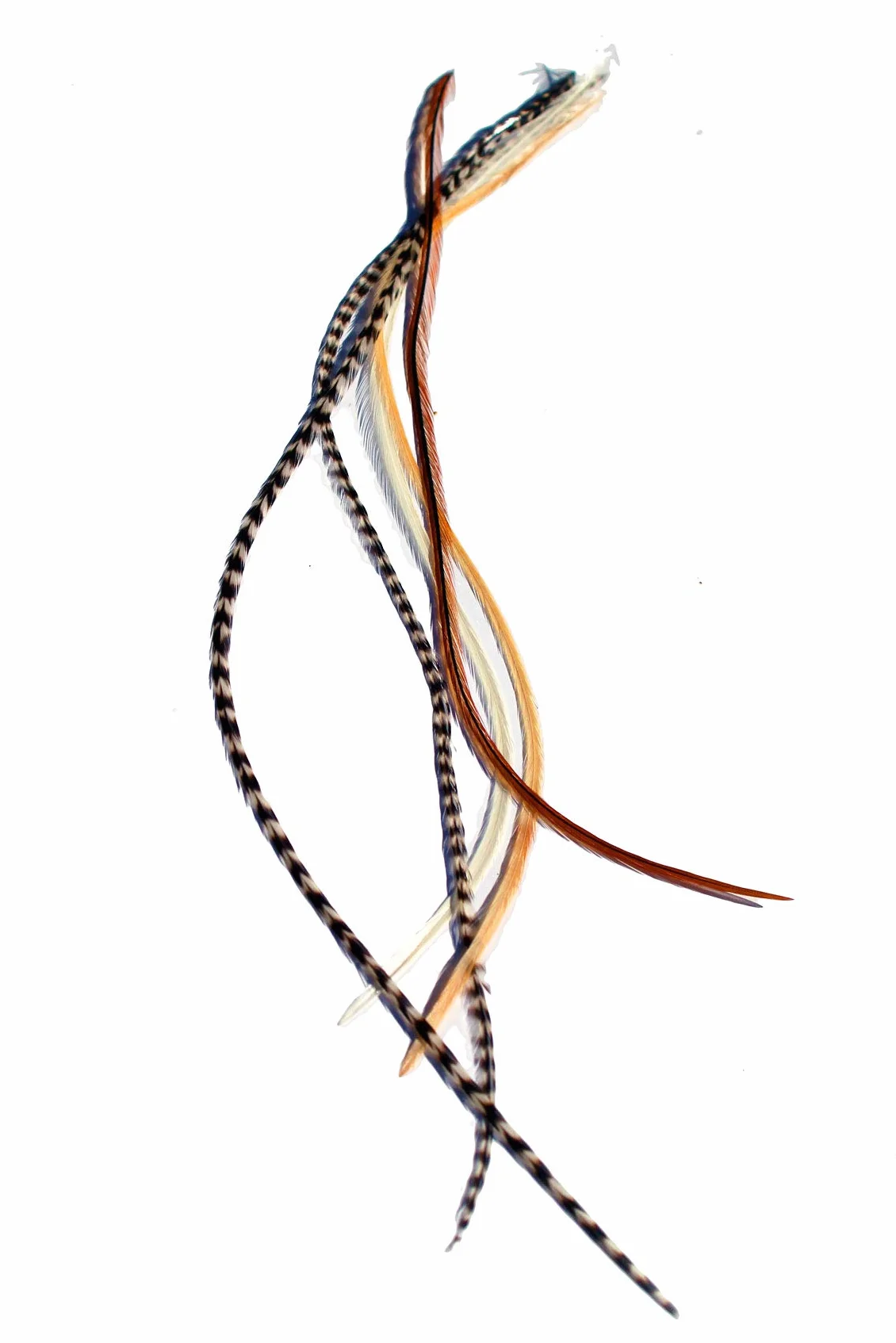 Estensione dei Capelli + Anelli/Applicatore - Mixed Naturals (5 piume, 22-33 cm)