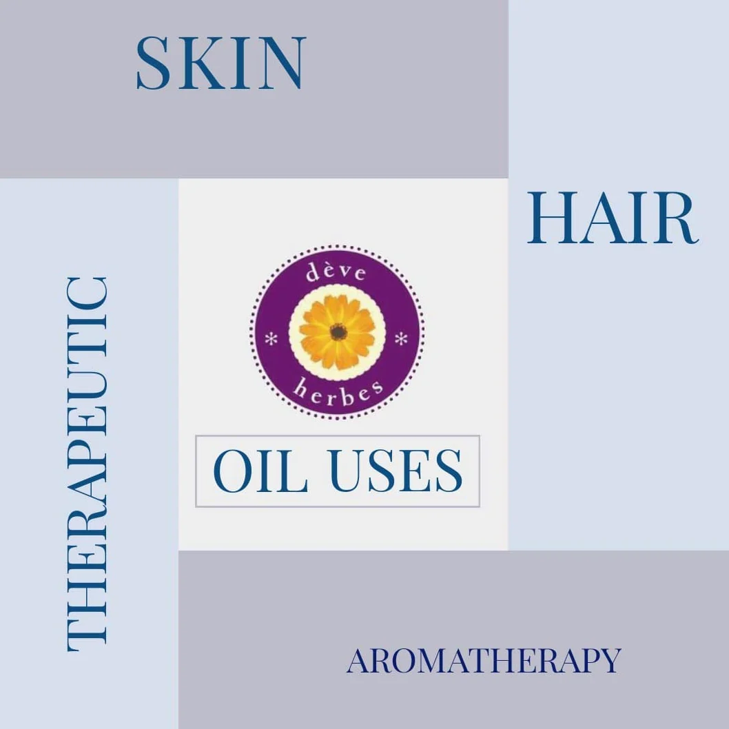 Deve Herbes puro Olio Nirgundi (Vitex negundo linn) qualità terapeutica naturale 30ml (1 oz)